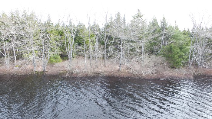 WentworthHalbinsel (89)